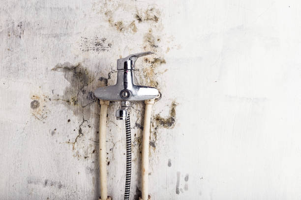 Best Residential Mold Removal  in Red Rock, AZ