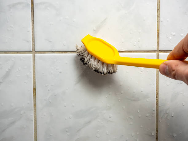 Best Mold Cleaning Services  in Red Rock, AZ
