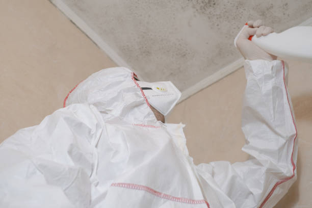 Best Commercial Mold Removal  in Red Rock, AZ