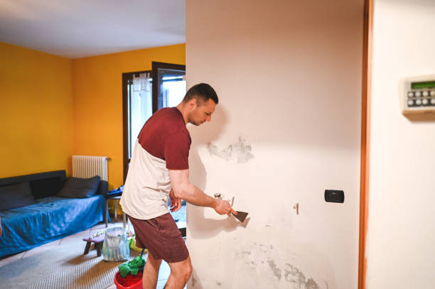Mold Removal and Inspection in Red Rock, AZ